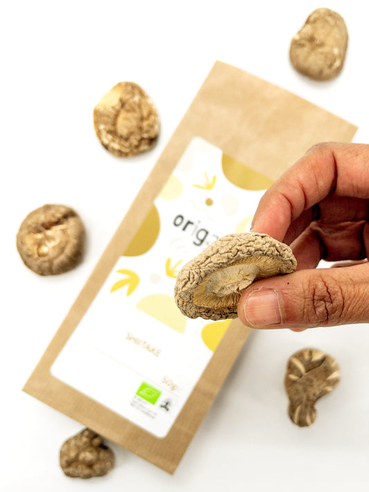 Shiitake – Champignons séchés bio – 50 g – Origami